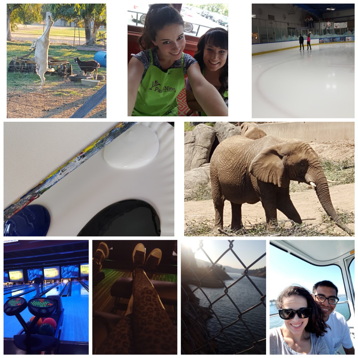 Things to Do- Summer&nbsp;Edition