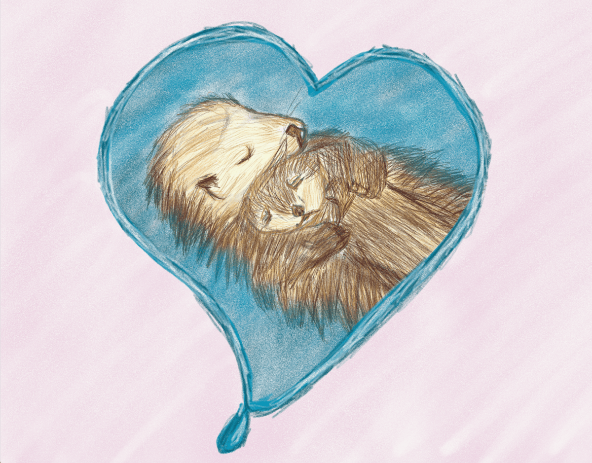 Mother’s Day | Gift Guide&nbsp;2019