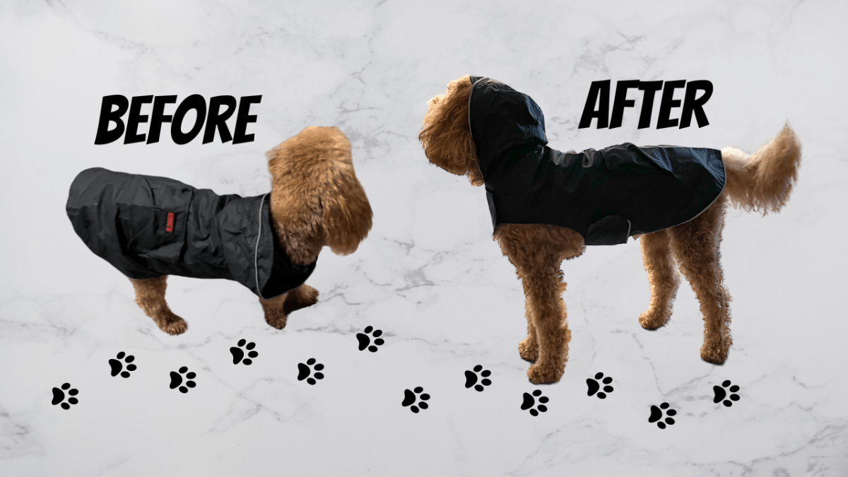 Beginner tailoring | Dog&nbsp;Jacket